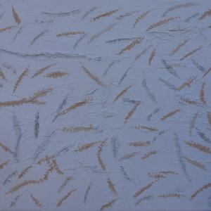 pleins de plumes 2014 toile 41x33